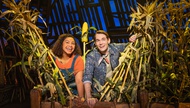 "Shucked," one of the most enjoyable Broadway imports I’ve had the pleasure to see at the Smith, draws laughs and cheers with a regularity you could clock with a metronome. It's light on drama but heavy on dad jokes.