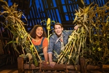 story