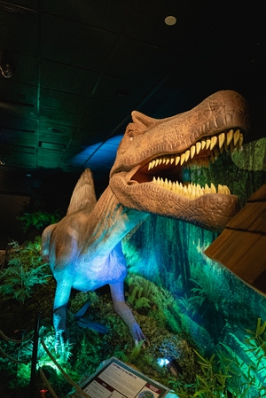 Dino Safari
