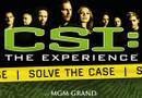 CSI: The Experience