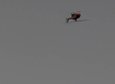 Red Bull Copter Cartwheels
