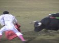 Velcro Bullfighting 