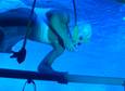 Le Reve: Diving the Dream